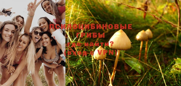 МДПВ Абдулино