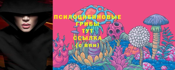 МДПВ Абдулино
