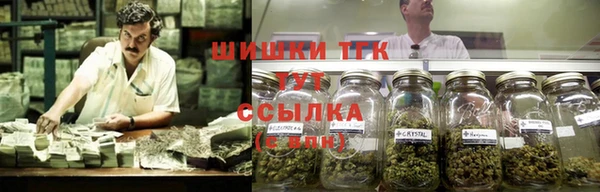 скорость Абаза